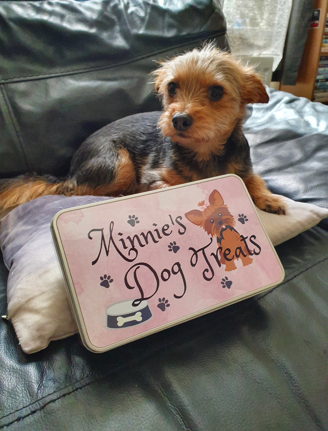 Personalised Dog Treat Tin