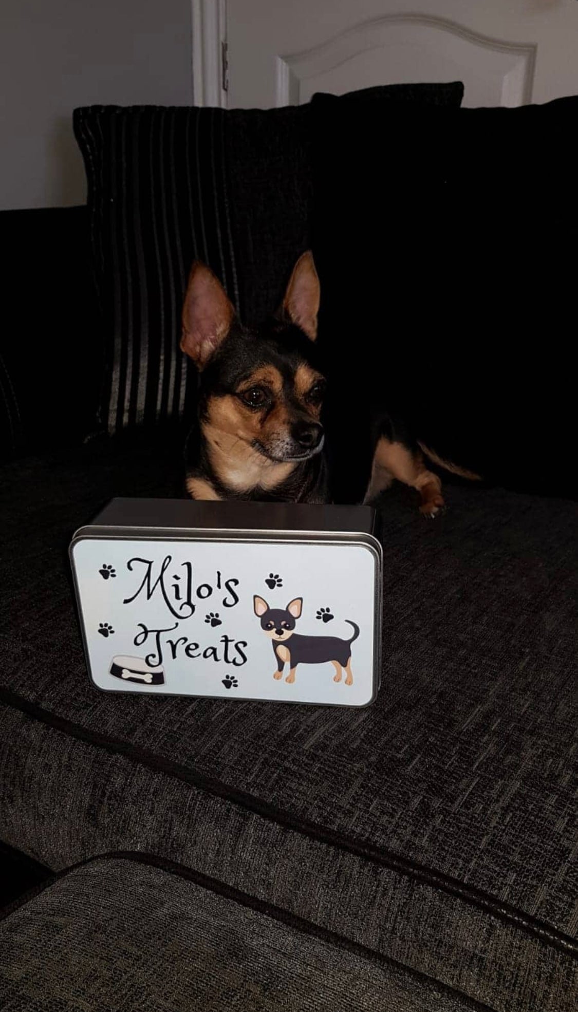 Personalised Dog Treat Tin
