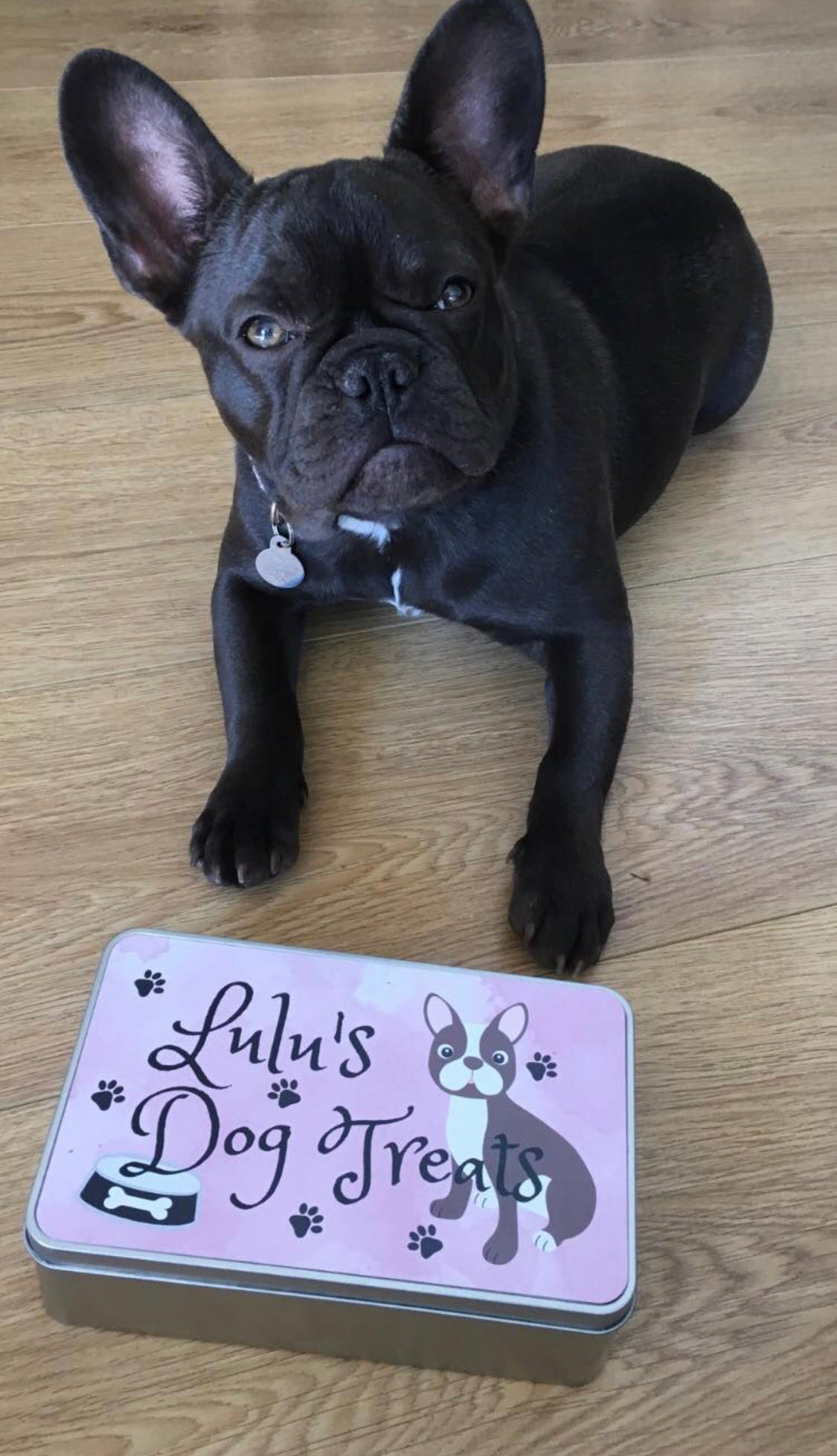 Personalised Dog Treat Tin